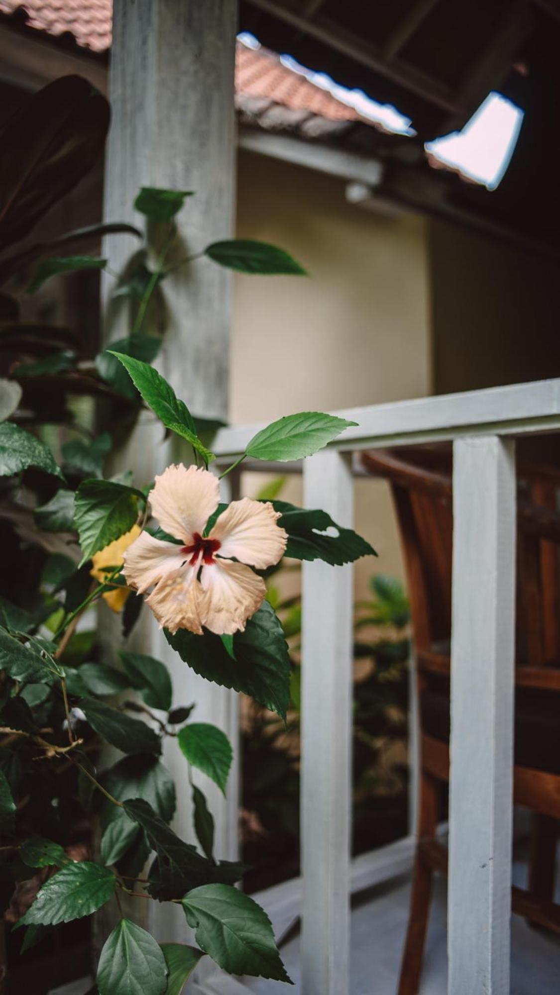 The Lucky Cottage Nusa Lembongan Exterior foto